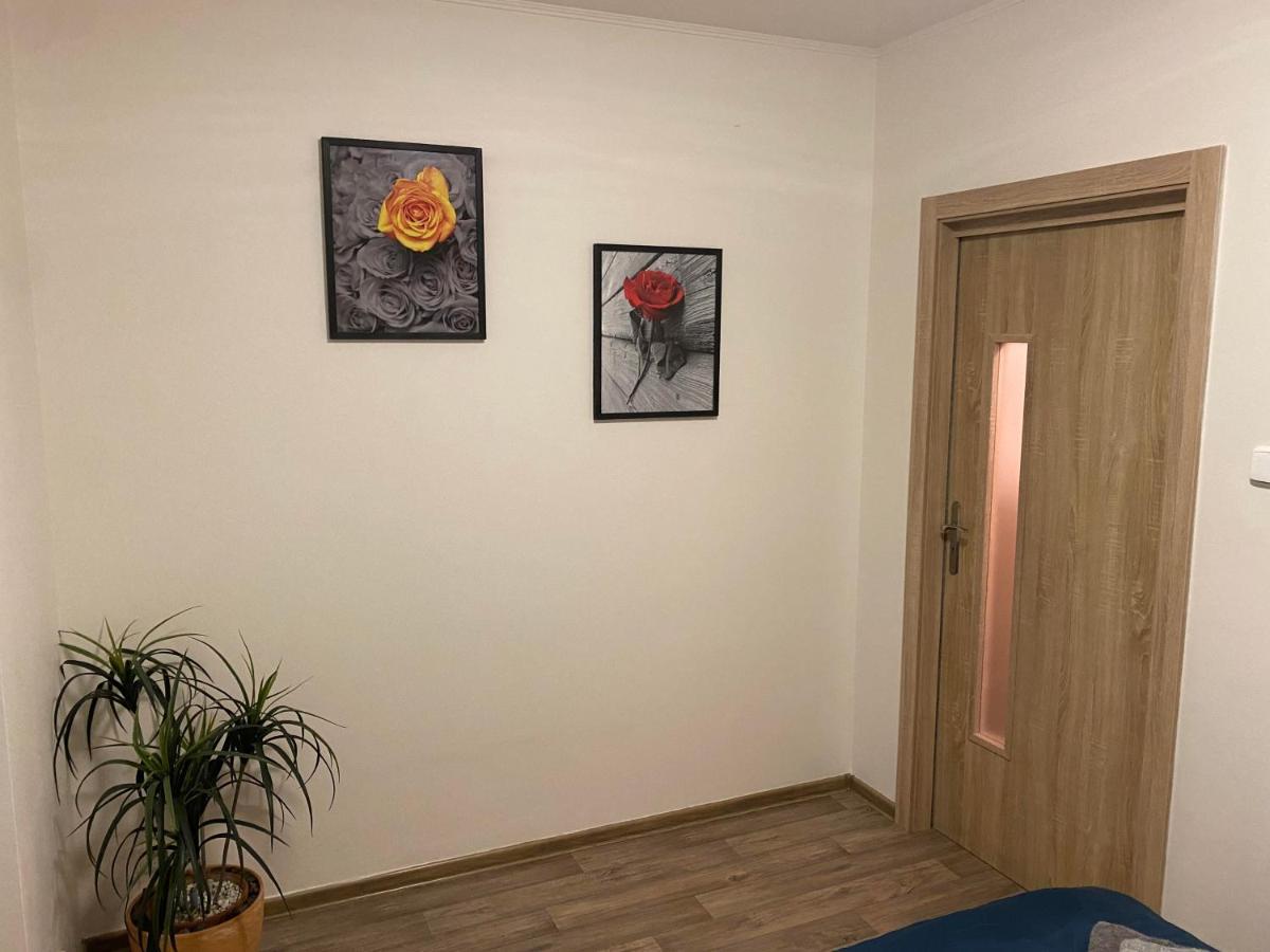 Apartmentscarlsbad 卡罗维发利 外观 照片