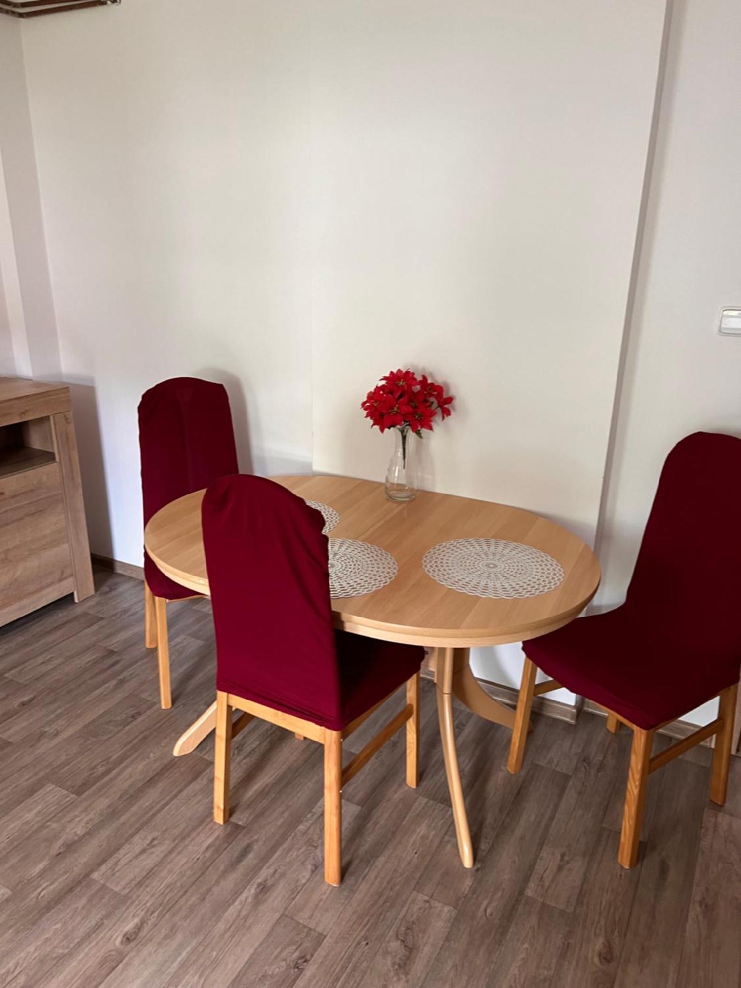 Apartmentscarlsbad 卡罗维发利 外观 照片