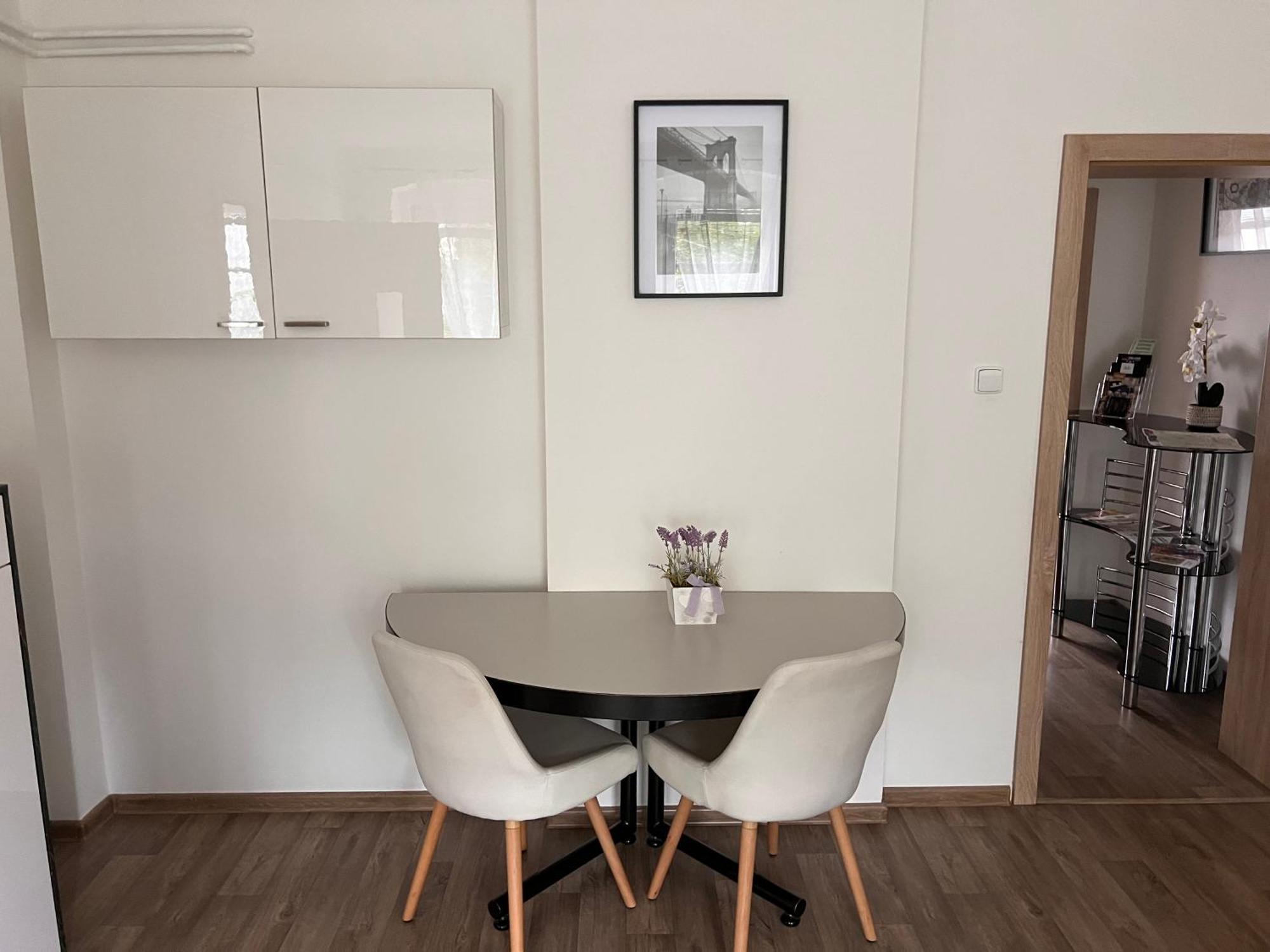 Apartmentscarlsbad 卡罗维发利 外观 照片