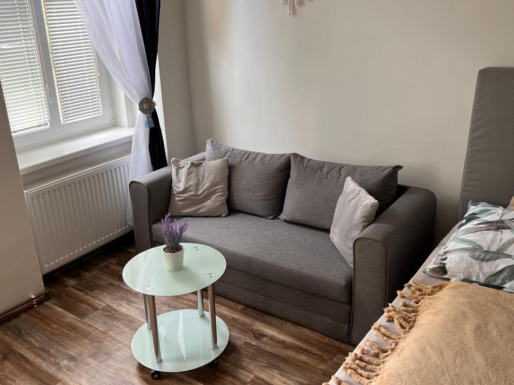 Apartmentscarlsbad 卡罗维发利 外观 照片